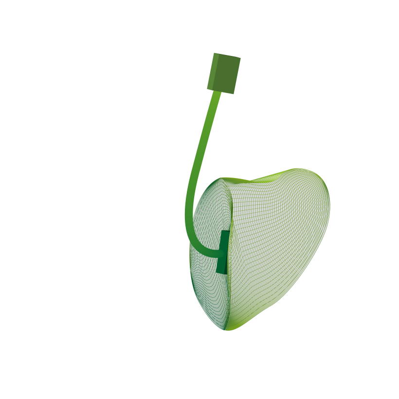 Silikon-RIC-Otoplastik Laborbestellung