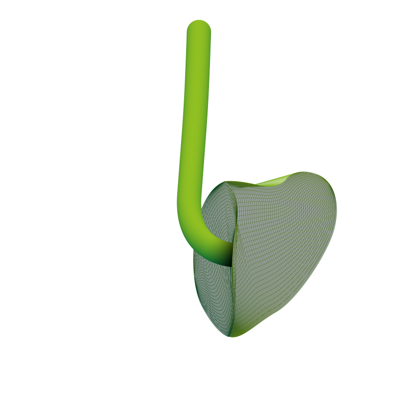 Otoplastik-Schallschlauch Download