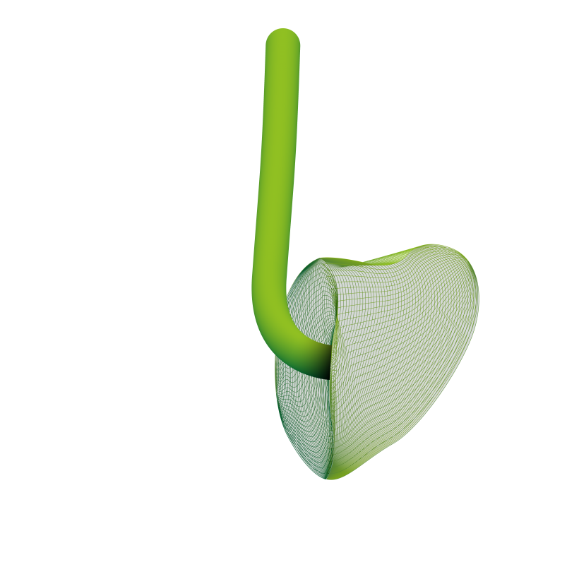 Silikon-Schallschlauch-Otoplastik Laborbestellung