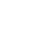 Network Icon